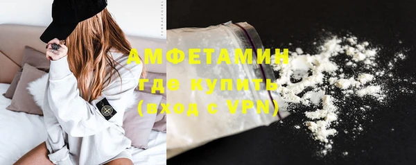 индика Балабаново