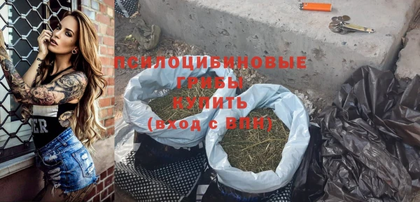 герыч Алексин